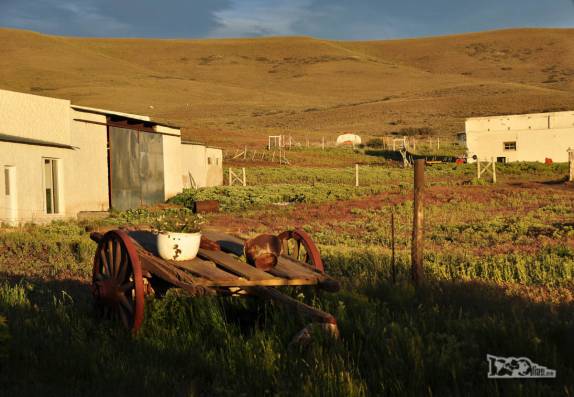 A simpática Estancia Cueva de Las Manos, no coração da patagônia argentina